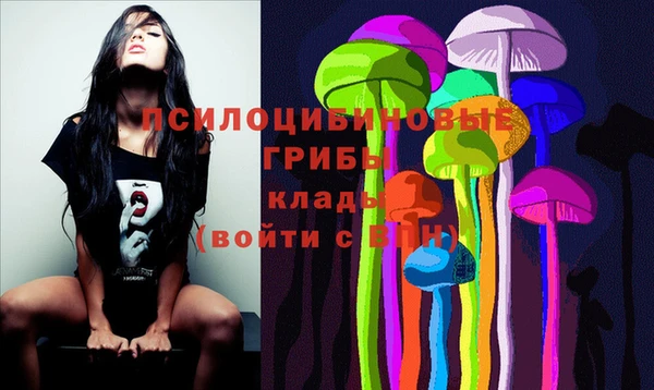 spice Зерноград
