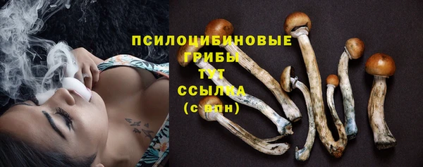 марки lsd Зеленодольск